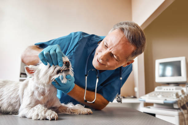 Best Emergency Treatment for Toothache in Pine Mountain, GA