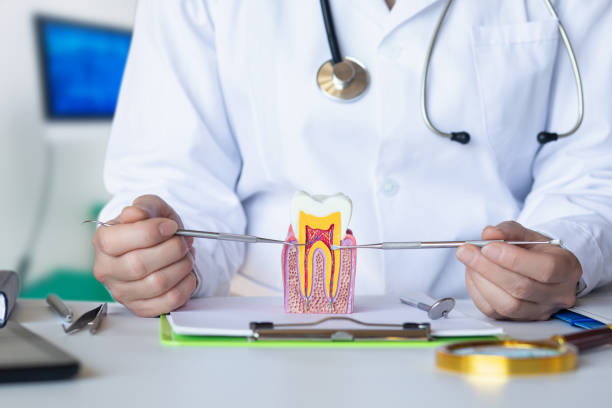 Best Weekend Emergency Dentist in Pine Mountain, GA